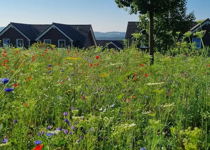 Πάρκο διακοπών Nuerburgring Drees