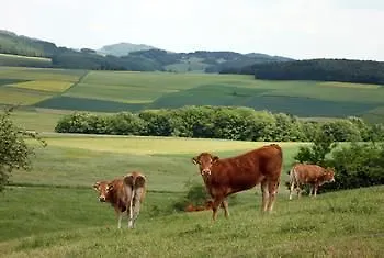 假日公园 Nuerburgring 3*